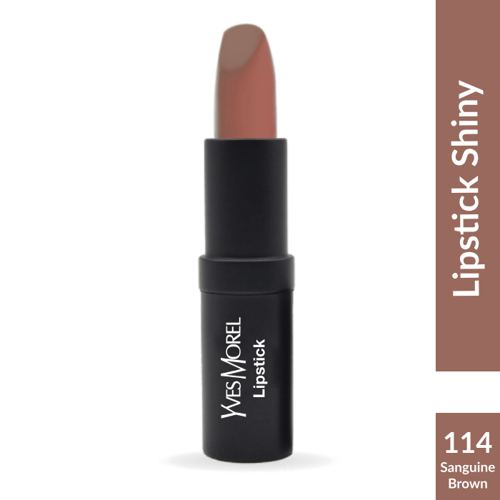 Lipstick Shiny - 114 - Sanguine Brown image